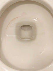 Toilet Bowl Cleaner Tablet Refills